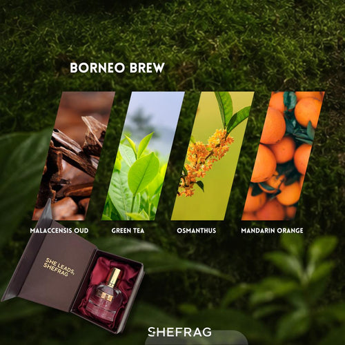 Shefrag Borneo Brew Tea Perfume [Own-Creation] EDP 50ml with Malaccensis Oud